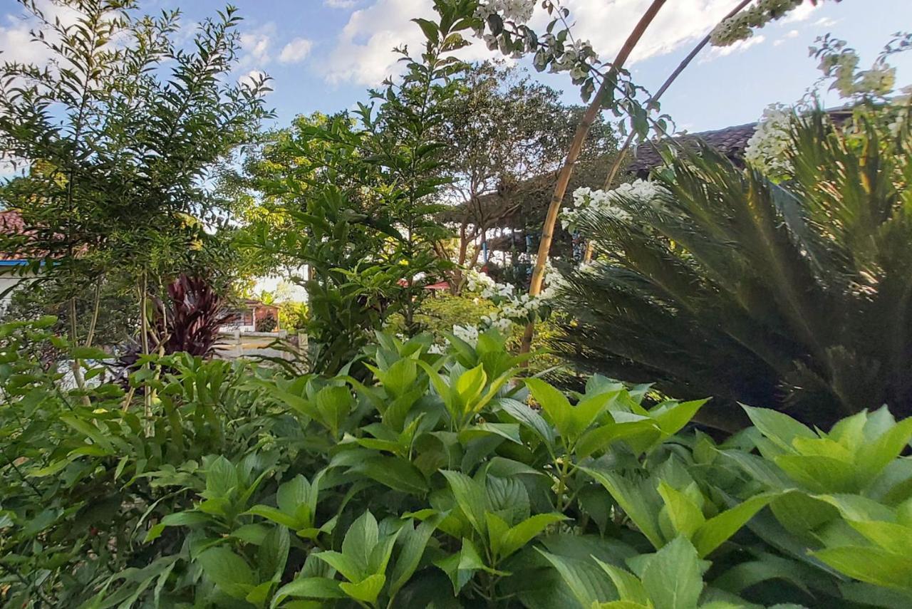 Balsora Hotel Boutique ลาเตไบดา ภายนอก รูปภาพ