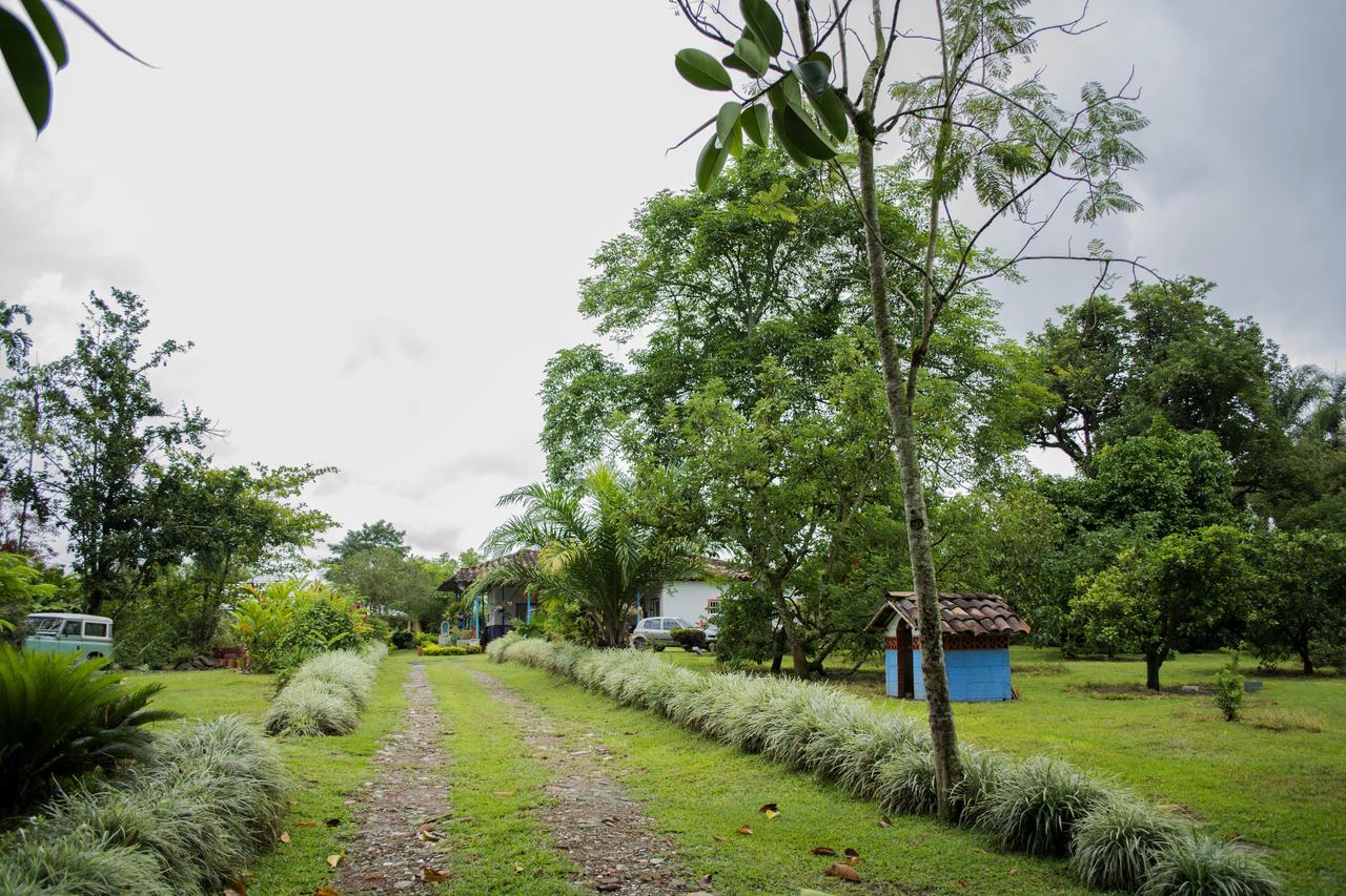 Balsora Hotel Boutique ลาเตไบดา ภายนอก รูปภาพ