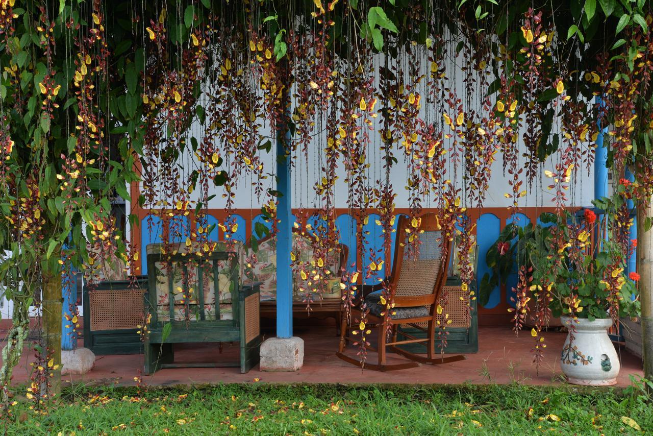 Balsora Hotel Boutique ลาเตไบดา ภายนอก รูปภาพ
